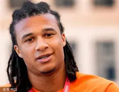 范迪克个人资料